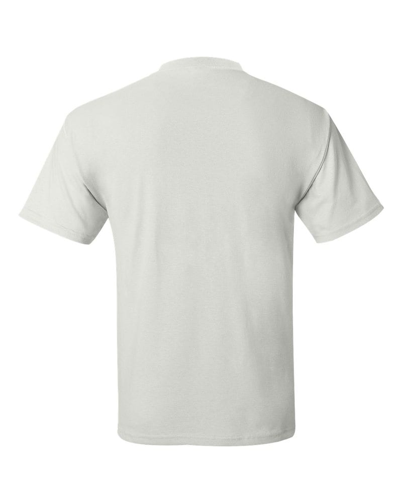 Hanes 5170 - ComfortBlend® EcoSmart® T-Shirt | Needen USA