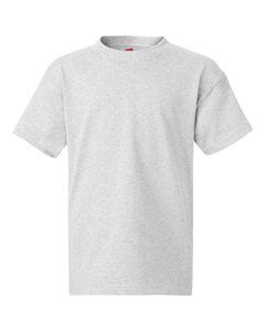 Hanes 5450 - Youth Authentic-T T-Shirt  Ash