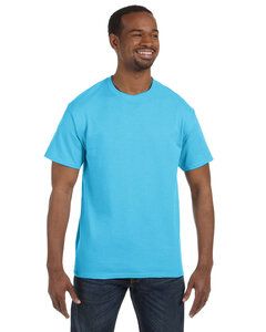 Hanes 5250 - Tagless® T-Shirt Blue Horizon