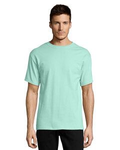 Hanes 5250 - Tagless® T-Shirt Clean Mint