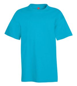 Hanes 5450 - Youth Authentic-T T-Shirt  Blue Horizon