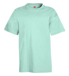 Hanes 5450 - Youth Authentic-T T-Shirt  Clean Mint