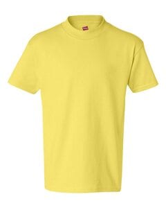 Hanes 5450 - Youth Authentic-T T-Shirt  Amarillo