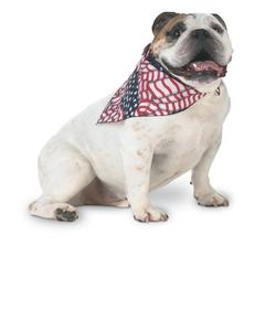 Doggie Skins 3905 - Doggie Bandana Flag Print