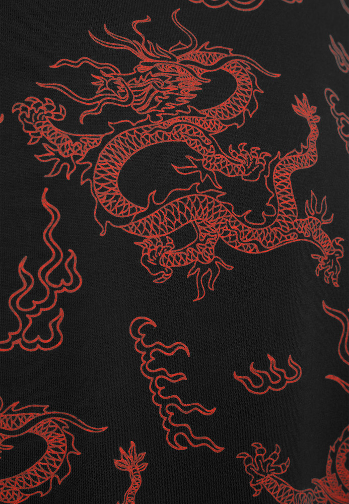 Mister Tee MT772 - T-shirt à motif dragon