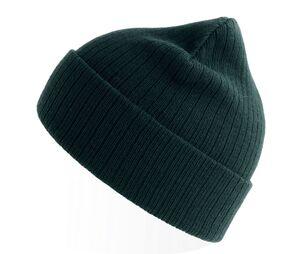 Atlantis AT208 - Recycled polyester beanie Bottle Green