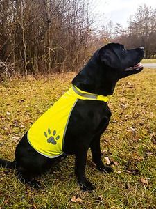 Korntex KXTH - High Visibility Dog Safety Vest Yellow