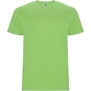 Roly R6681 - T-shirt Stafford à manches courtes pour homme