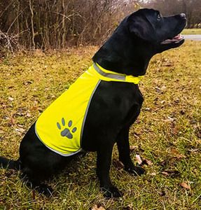 Korntex KXTH - High Visibility Dog Safety Vest