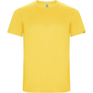 Roly R0427 - T-shirt Imola maille piquée à manches courtes pour homme
